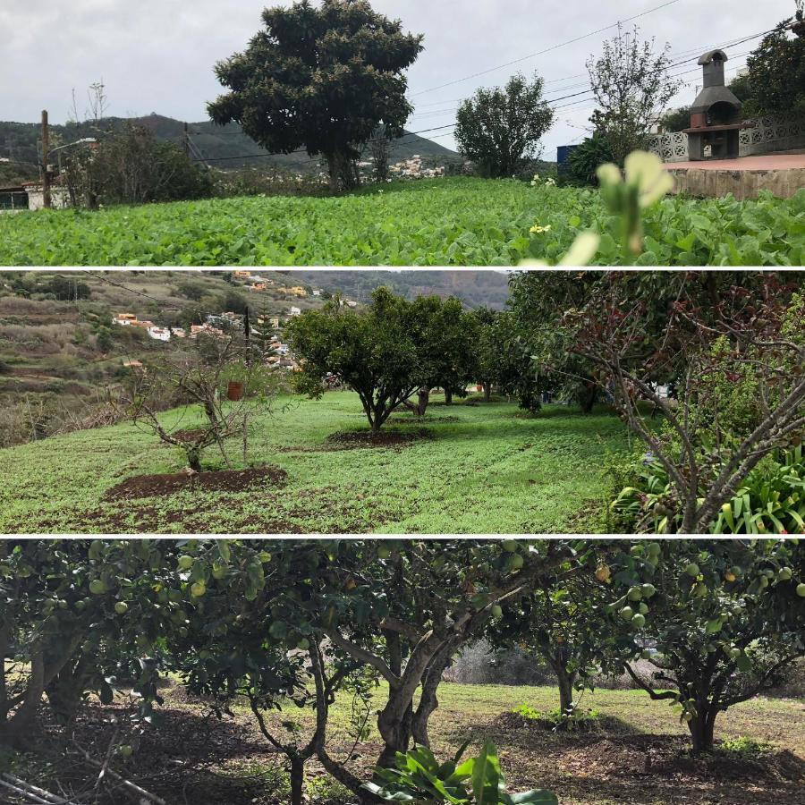 La Choza Villa Vacacional Teror Exteriör bild